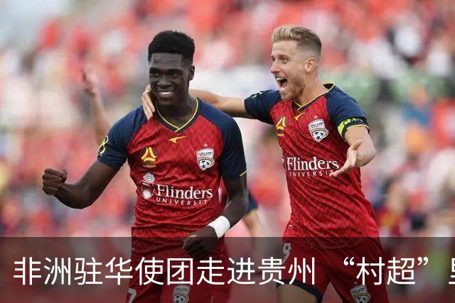 非洲驻华使团走进贵州 “村超”里遇见“世界杯”