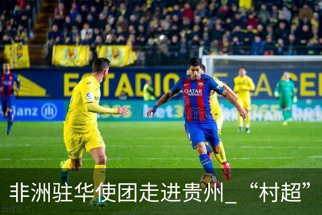 非洲驻华使团走进贵州 “村超”里遇见“世界杯”